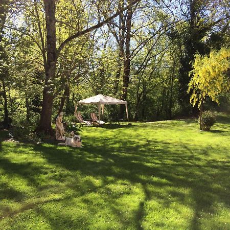 Domaine Du Val De Soux Bed & Breakfast Montgaillard-de-Salies Bagian luar foto